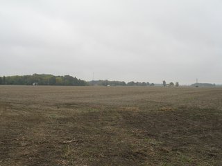 Property photo 11 - 76.8 +/- Acres Mostly Tillable - Land Auction